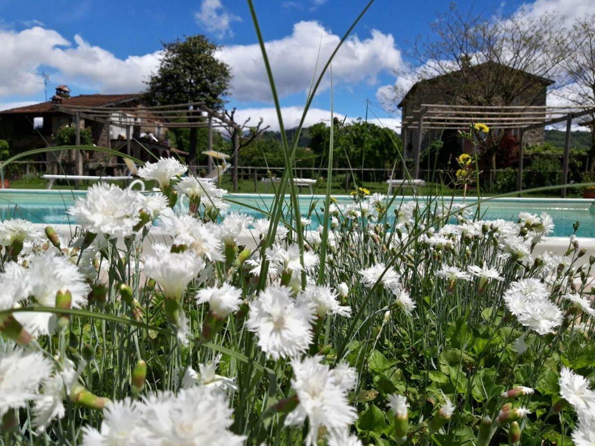 Agriturismo Chioi Barga Exterior foto